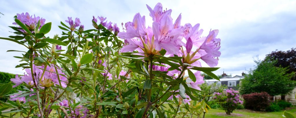 blairgowrie care home