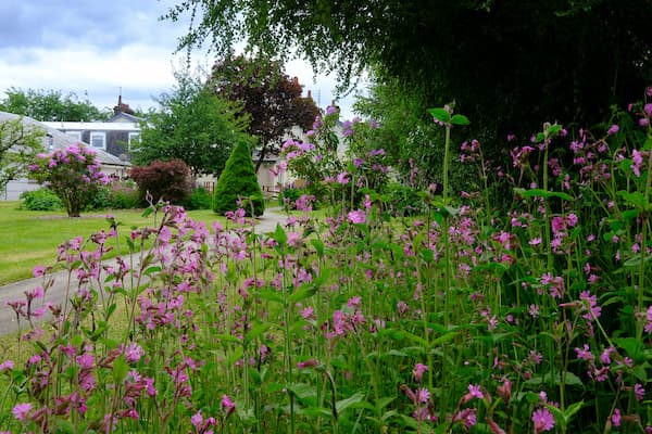 beautiful care home grounds in Scotland
