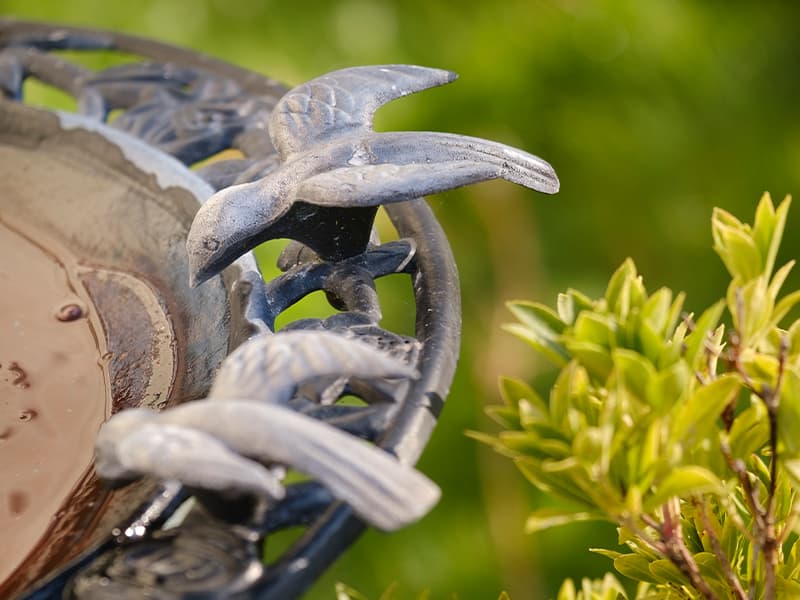 northlands-care-home-blairgowrie-gardens-grounds